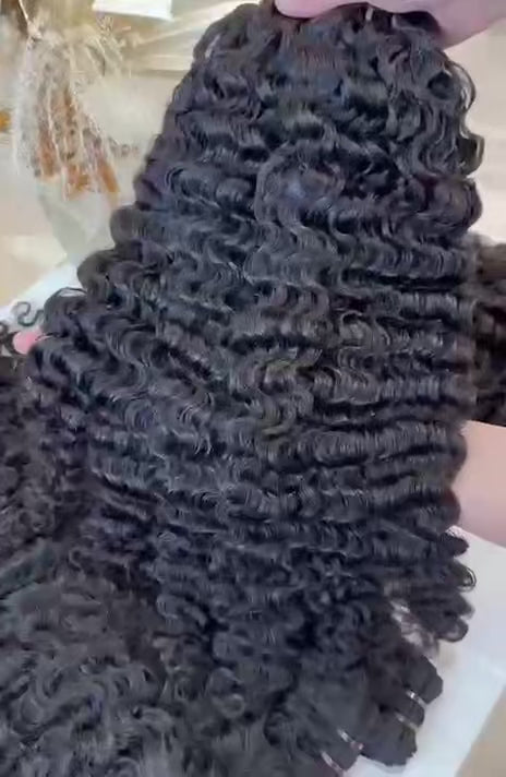 Burmese curly